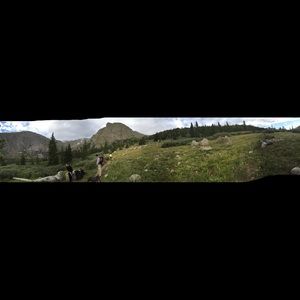 Meet your Posher, Nathan